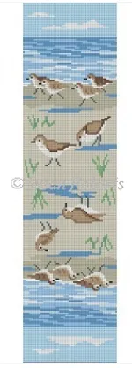 0658 Sandpiper Eyeglass Case