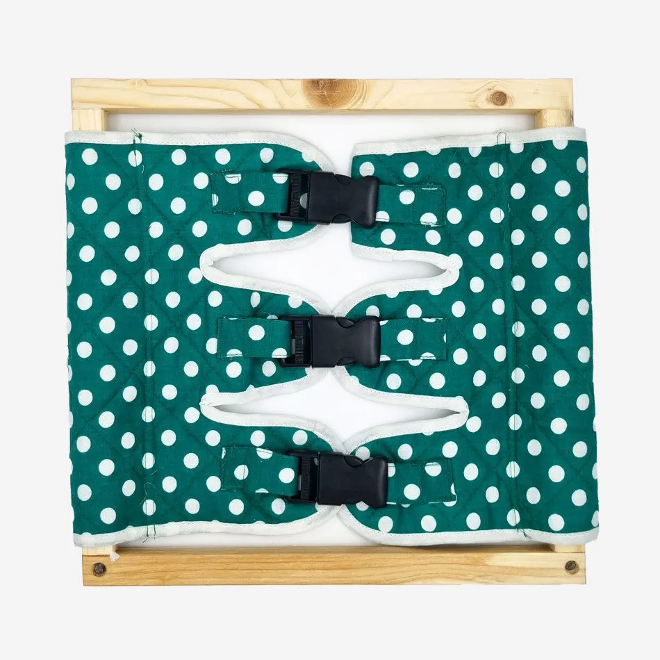 Buckle Toddler Dressing Frames