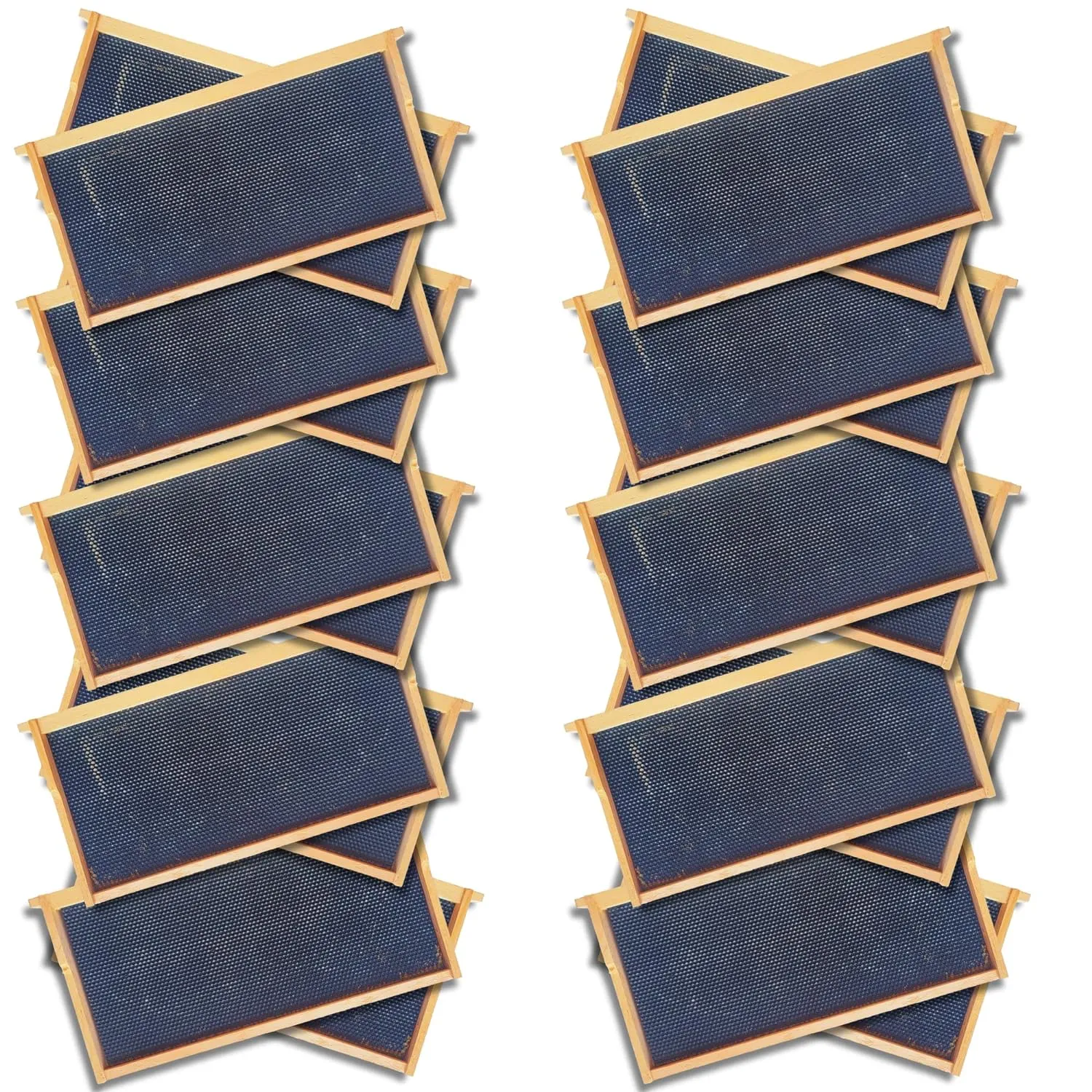 Deep 9 1/8-Inch Langsroth Frame, Grooved Top / Grooved Bottom With Double Wax Foundation