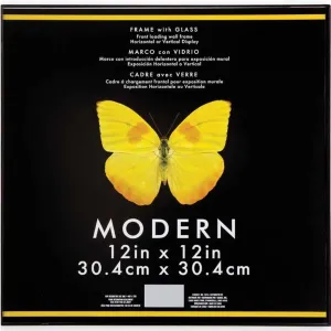 Frame - Modern - Plastic and Glass - Black - 12 x 12 inches