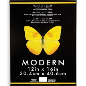 Frame - Modern - Plastic and Glass - Black - 12 x 16 inches