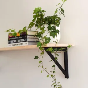 Minimalist Metal Shelving Bracket